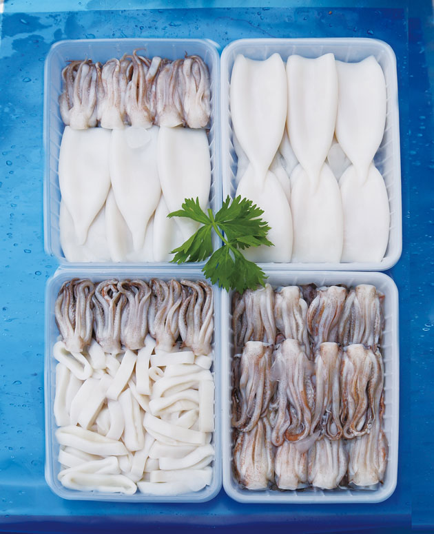 Todarodes Squid Block.jpg