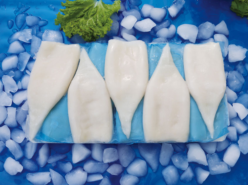 Frozen Gigas Squid Tube Interleaved.jpg
