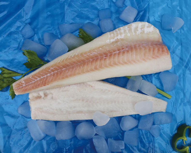 MSC Atlantic Cod Fillet.jpg