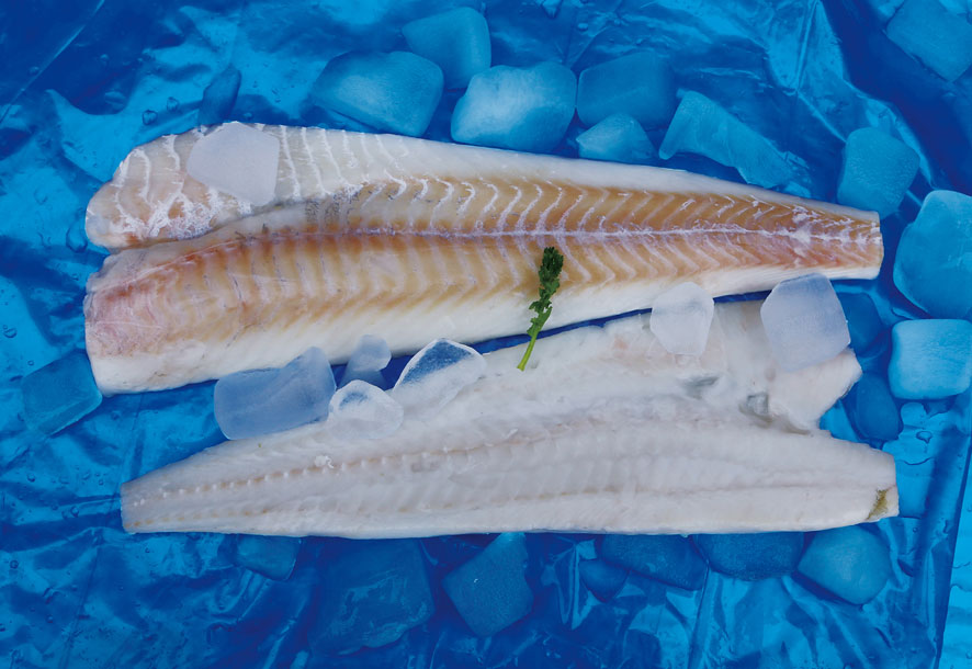 MSC Pacific Cod Fillet.jpg