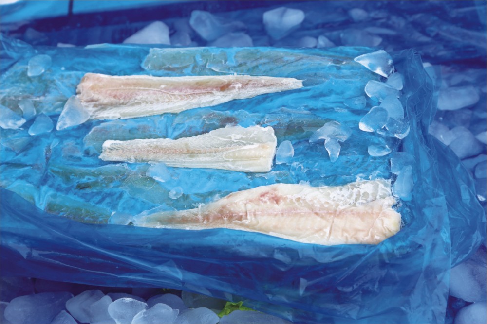 MSC Alaska Pollock Fillet Interleaved Block.jpg