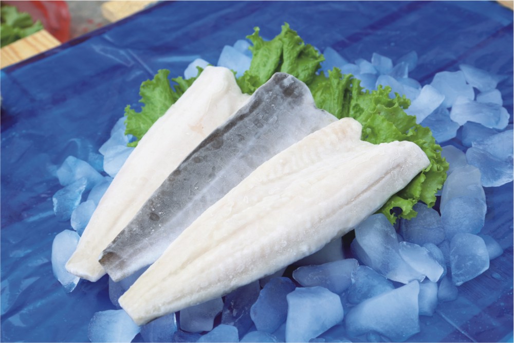 Light Salted Saithe Fillet.jpg