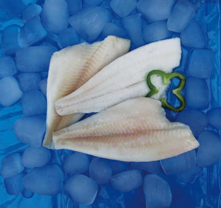 MSC Yellowfin Sole Fillet.jpg