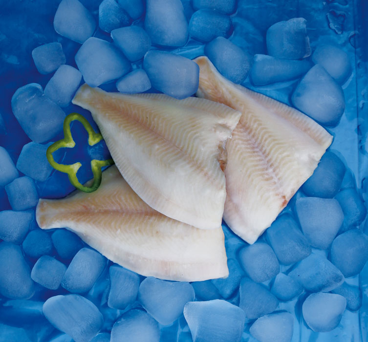 MSC Yellowfin Sole Headed - Gutted.jpg