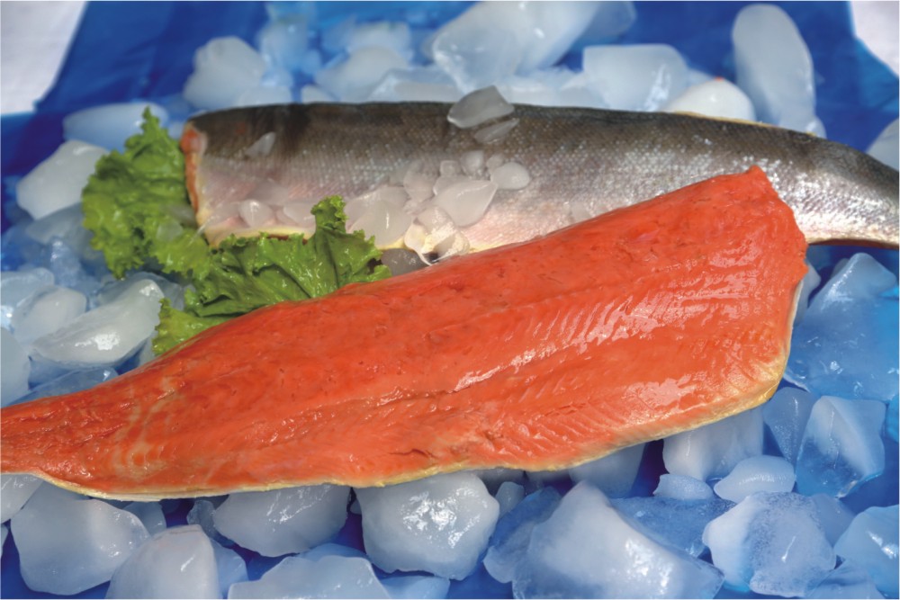 IQF Skin-on Chum Salmon Fillet.jpg