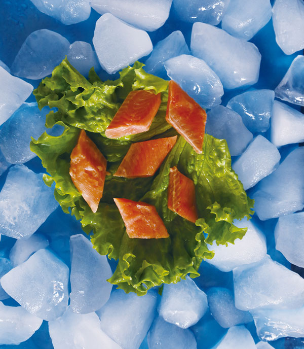 Pink Salmon Diamond Portion.jpg