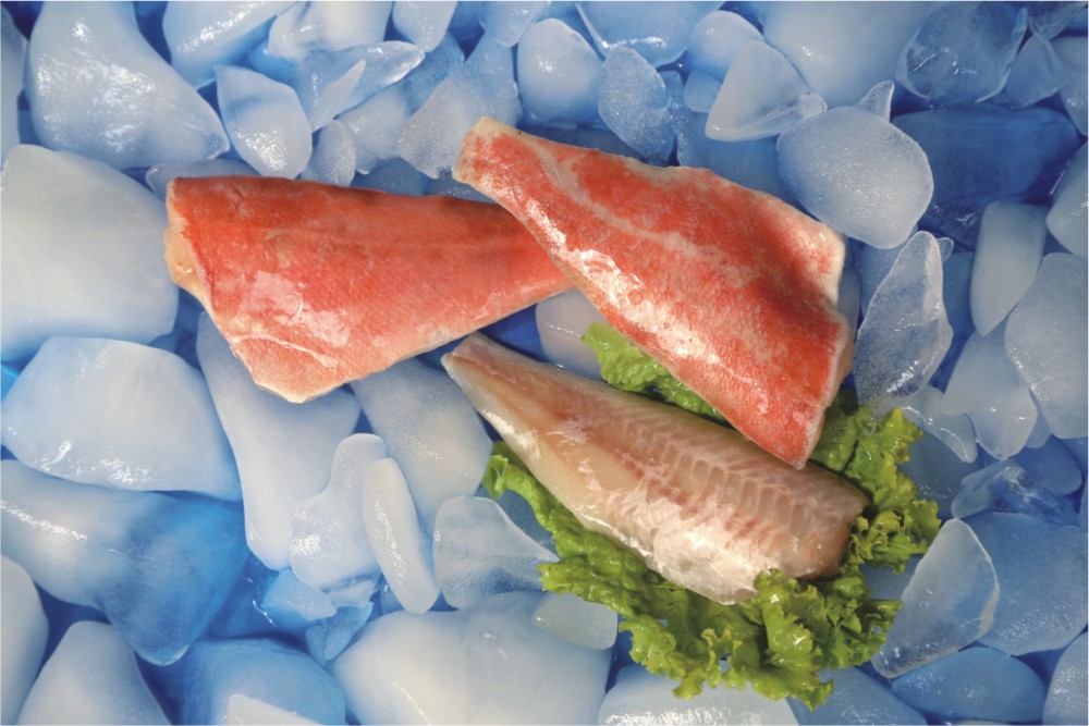 MSC IQF Atlantic Red Fish Fillet.jpg